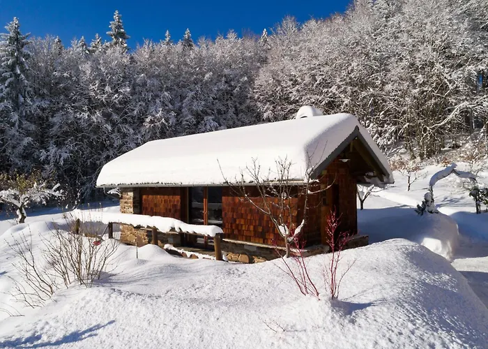 Predigtstuhl By Interhome * Spiegelau